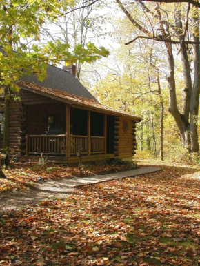 Grapevine Cabin by Amish Country Lodging